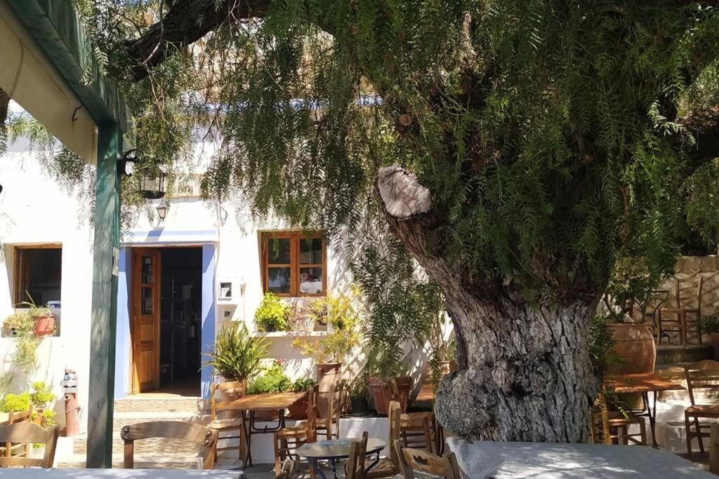 Traditional house Utopia Makri Gialos Pévkoi Esterno foto